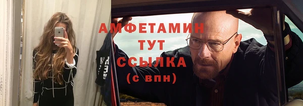 гидра Каменногорск