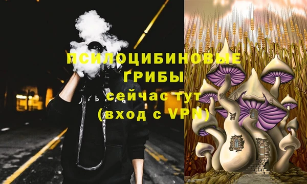 гидра Каменногорск