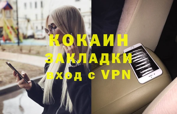 гидра Каменногорск