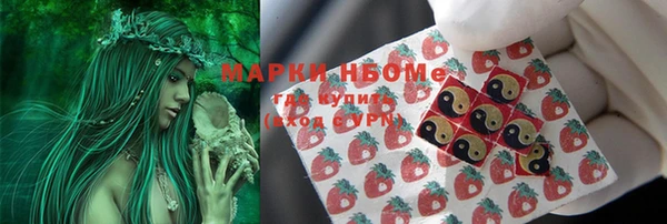 гидра Каменногорск
