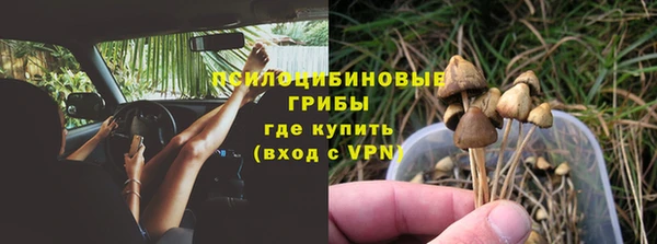 гидра Каменногорск